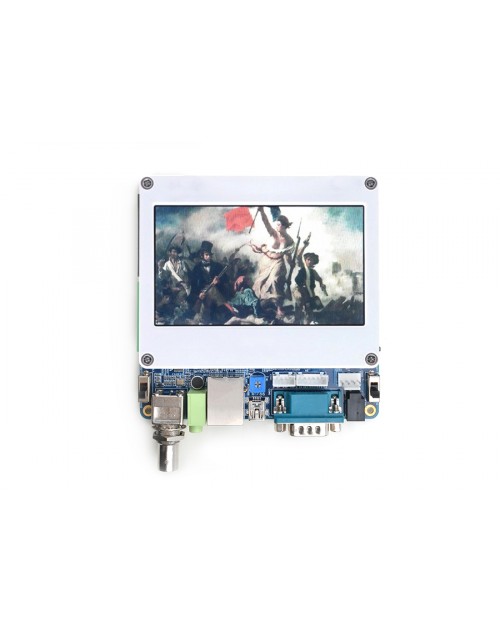 Mini6410 (1G Flash) + 4.3"LCD + Standard Accessories